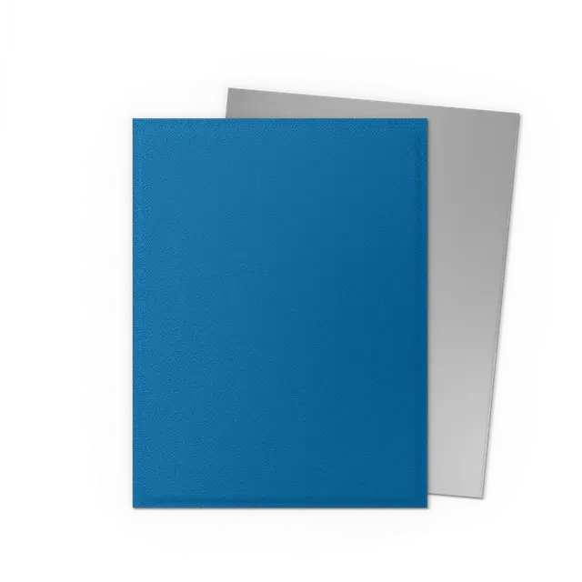 Cobalt & Silver - Matte Dual Sleeves