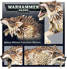 Space Wolves: Fenrisian Wolves