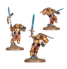 Blood Angels- Sanguinary Guard